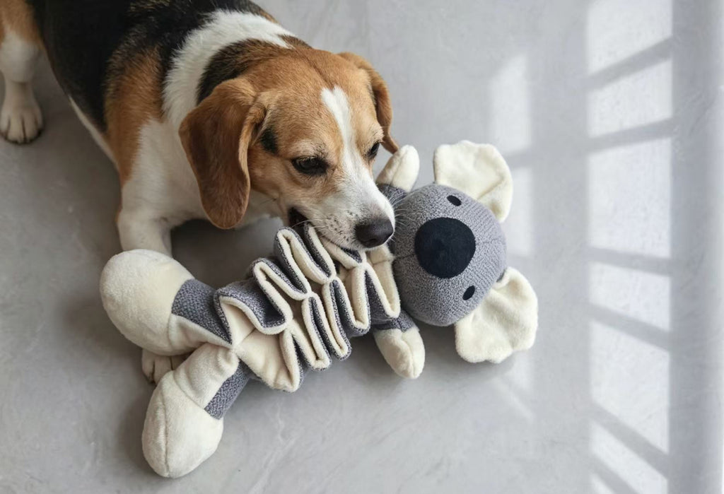 Plush Koala