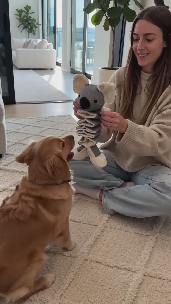 Plush Koala